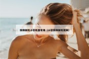 摘辣椒机小型机器家用（小型摘辣椒机视频）