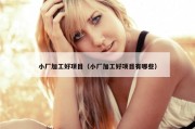 小厂加工好项目（小厂加工好项目有哪些）