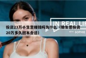 投资23万小生意赚钱吗为什么（做生意投资20万多久回本合适）