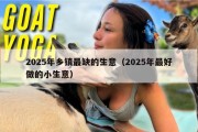 2025年乡镇最缺的生意（2025年最好做的小生意）