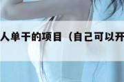 适合一个人单干的项目（自己可以开的小工厂）