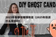 2025年有哪些赚钱项目（2025年投资什么项目好）