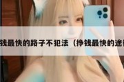 挣钱最快的路子不犯法（挣钱最快的途径）