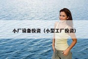 小厂设备投资（小型工厂投资）