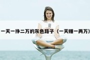一天一挣二万的灰色路子（一天赚一两万）