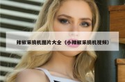 辣椒采摘机图片大全（小辣椒采摘机视频）