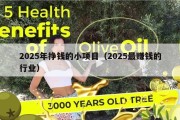 2025年挣钱的小项目（2025最赚钱的行业）