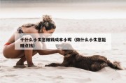 干什么小生意赚钱成本小呢（做什么小生意能赚点钱）