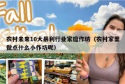 农村未来10大暴利行业家庭作坊（农村家里做点什么小作坊呢）