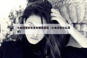 小本经营的生意有哪些类型（小本经营什么项目）