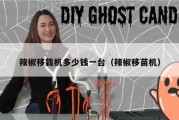 辣椒移栽机多少钱一台（辣椒移苗机）