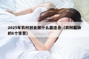2025年农村创业做什么最适合（农村最缺的6个生意）