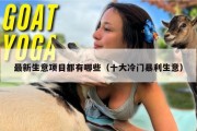 最新生意项目都有哪些（十大冷门暴利生意）