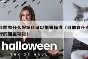 目前有什么好项目可以加盟挣钱（目前有什么好的加盟项目）