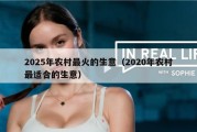 2025年农村最火的生意（2020年农村最适合的生意）