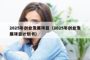 2025年创业发展项目（2025年创业发展项目计划书）