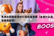 未来比较有前景的行业农业发展（未来什么农业最有前景）