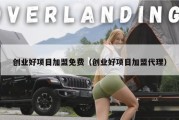 创业好项目加盟免费（创业好项目加盟代理）