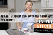 有没有什么赚钱的软件（有没有什么赚钱的软件无风险的）