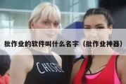 批作业的软件叫什么名字（批作业神器）