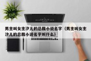 男主叫女主汐儿的总裁小说名字（男主叫女主汐儿的总裁小说名字叫什么）