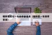 哪种草可以一年四季都是青（哪种草一年四季常青）