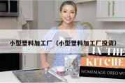 小型塑料加工厂（小型塑料加工厂投资）