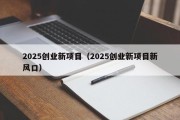 2025创业新项目（2025创业新项目新风口）