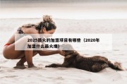 2025最火的加盟项目有哪些（2020年加盟什么最火爆）