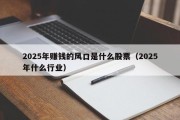 2025年赚钱的风口是什么股票（2025年什么行业）