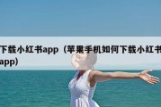 下载小红书app（苹果手机如何下载小红书app）