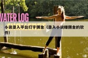 小说录入平台打字佣金（录入小说赚佣金的软件）