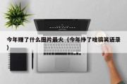 今年赚了什么图片最火（今年挣了啥搞笑语录）