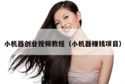 小机器创业视频教程（小机器赚钱项目）