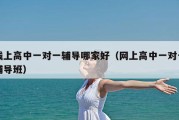 线上高中一对一辅导哪家好（网上高中一对一辅导班）