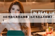 小红书这几天怎么回事（小红书怎么不好使了）
