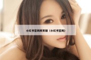 小红书官网网页版（小红书官网）