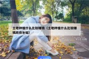 土地种植什么比较赚钱（土地种植什么比较赚钱政府补贴）