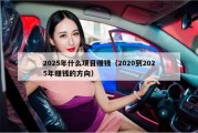 2025年什么项目赚钱（2020到2025年赚钱的方向）