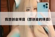 我想创业项目（想创业的项目）