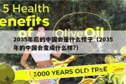 2035年后的中国会是什么样子（2035年的中国会变成什么样?）