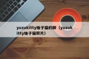 yuzukitty柚子猫的脚（yuzukitty柚子猫照片）
