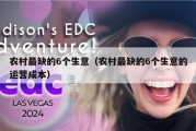 农村最缺的6个生意（农村最缺的6个生意的运营成本）