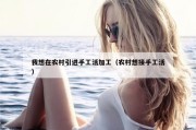 我想在农村引进手工活加工（农村想接手工活）