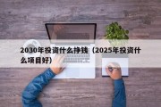 2030年投资什么挣钱（2025年投资什么项目好）