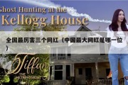 全国最厉害三个网红（中国最大网红是哪一位）
