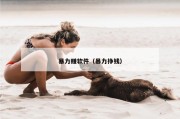 暴力赚软件（暴力挣钱）