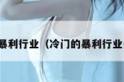 冷门的暴利行业（冷门的暴利行业是什么）