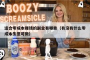 适合零成本赚钱的副业有哪些（有没有什么零成本生意可做）