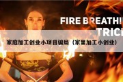 家庭加工创业小项目骗局（家里加工小创业）
